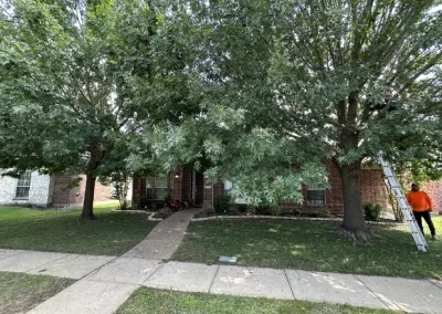 Local Tree Service (1)