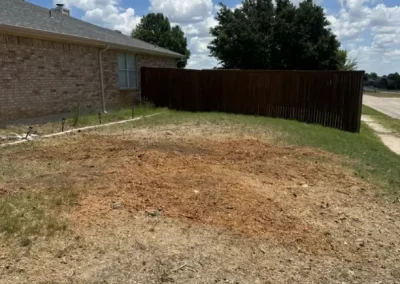 Local Tree Service (3)