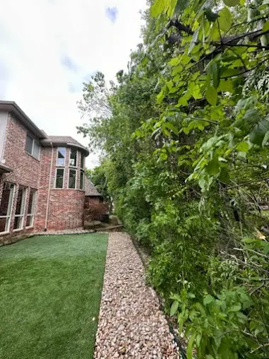 Professional Tree Service