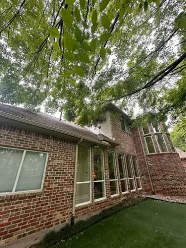 Reliable Tree Service