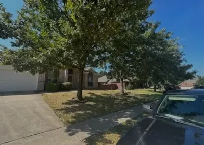 Expert Local Tree Service