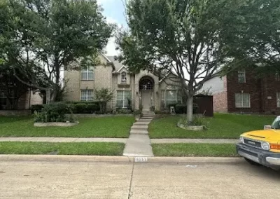 Expert Local Tree Service