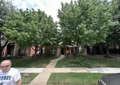 Expert Local Tree Service