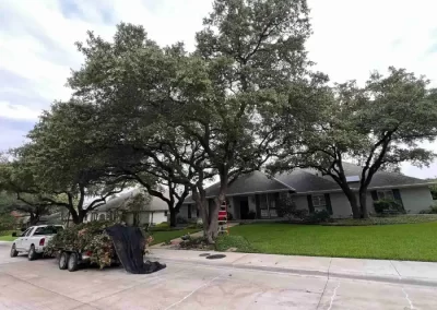 Affordable Tree Company