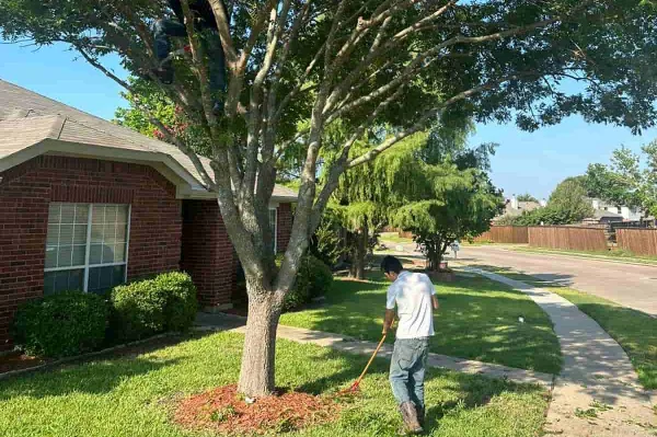 J Huerta Tree Service's Other Services
