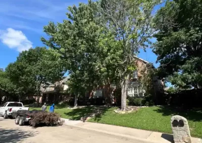 Reliable Tree Specialist