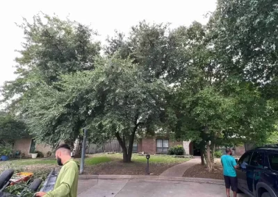 Reliable Tree Specialist