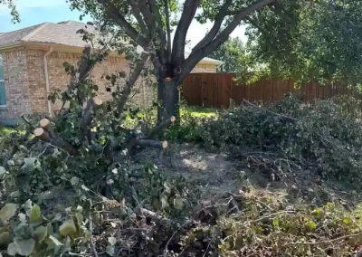 Reliable Tree Specialist