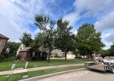 Reliable Tree Specialist