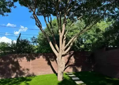 Reliable Tree Specialist