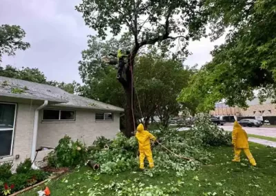 Reliable Tree Specialist