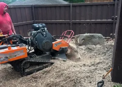 Reliable Tree Specialist
