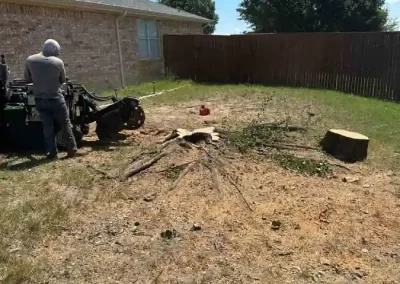 Reliable Tree Specialist