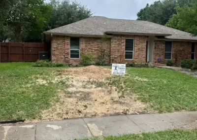 Reliable Tree Specialist