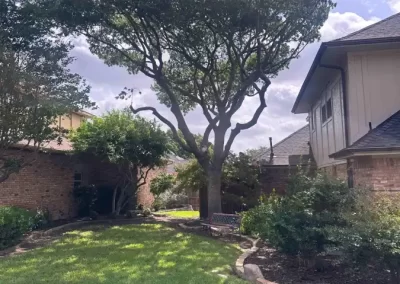 Reliable Tree Specialist