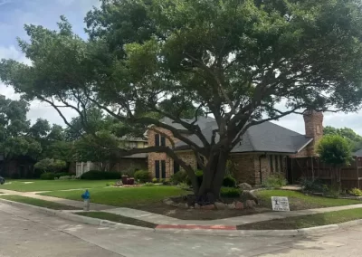 Reliable Tree Specialist