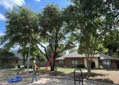 Reliable Tree Specialist
