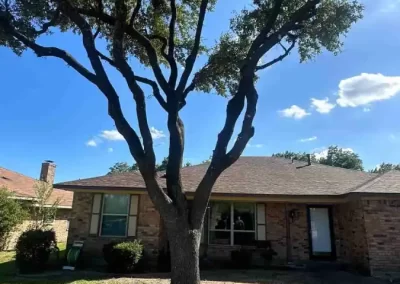 Reliable Tree Specialist