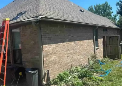 Reliable Tree Specialist